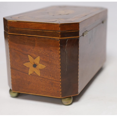 408 - An early 19th century shell inlaid cross banded mahogany tea caddy, 26cm wide