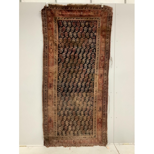 64 - Two Caucasian rugs, larger approximately 240 x 110cm