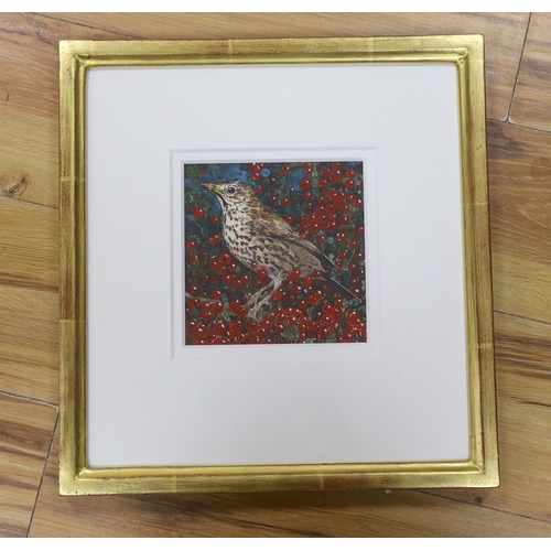 797 - Gary Anderson RSW (b. 1960), watercolour, Song Thrush 2013, signed and dated, label verso, 15 x 14... 