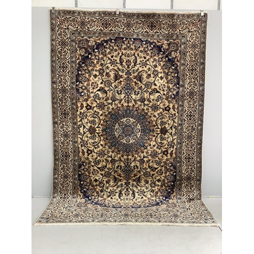 85 - A fine Nain ivory ground carpet, 290 x 192cm