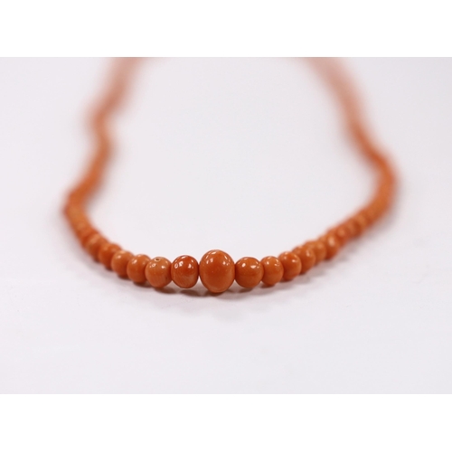 958 - A single strand graduated coral bead necklace, with 9k clasp, 42cm.