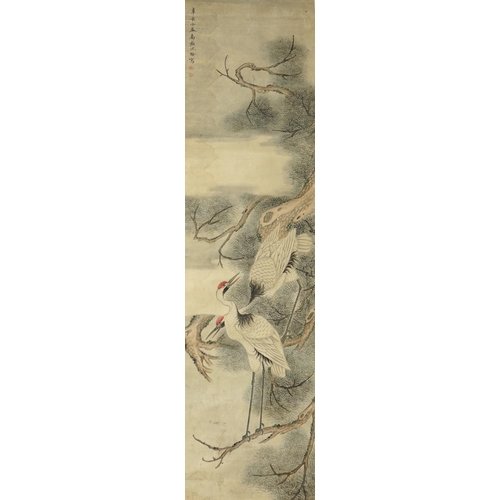 159 - Three Chinese scroll paintings, 19th/20th century, largest 163.5cm x 44cm