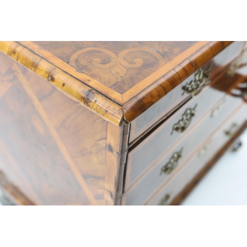 197 - A William and Mary oyster veneered laburnum and walnut chest with scrollwork marquetry to the top, t... 