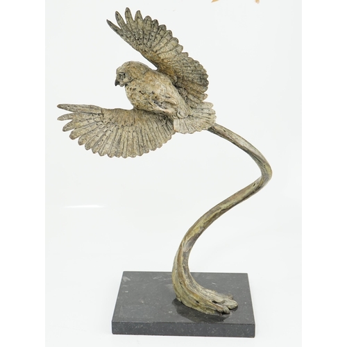 35 - § § Hamish Mackie (b.1973), bronze, 'Little Owl', first of an edition of 22, signed in the bronze, o... 