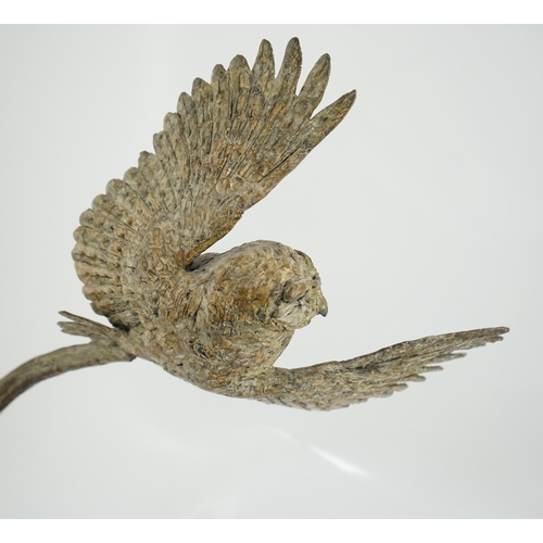 35 - § § Hamish Mackie (b.1973), bronze, 'Little Owl', first of an edition of 22, signed in the bronze, o... 