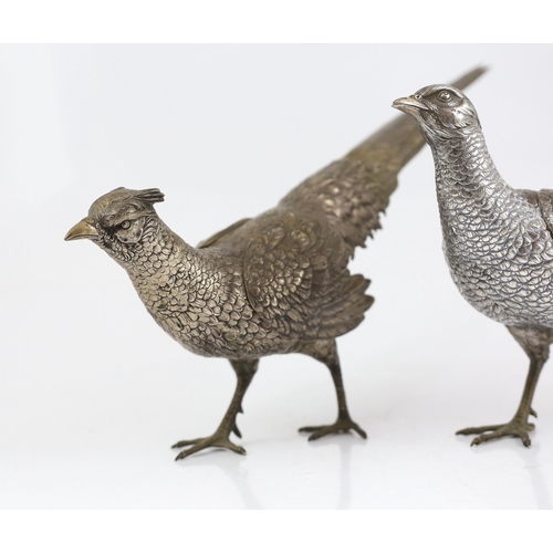 467 - A large pair of German 800 standard silver free standing model pheasants with articulated wings, c.1... 