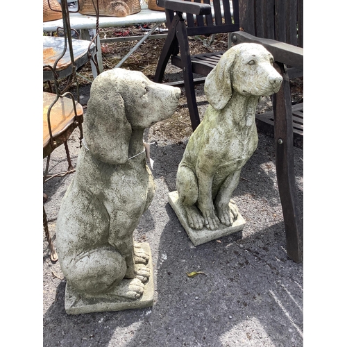 1015 - A pair of reconstituted stone seated hound garden ornaments, height 68cm. Condition - good