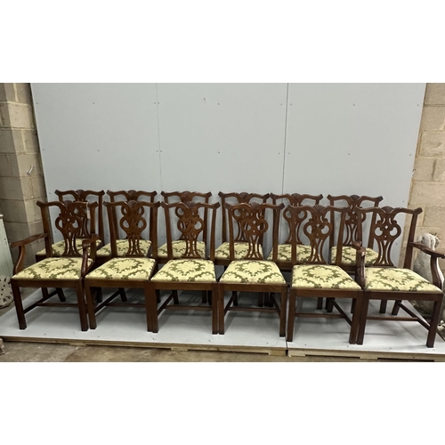 1159 - A set of twelve reproduction Chippendale style oak dining chairs, two with arms. Condition - good... 