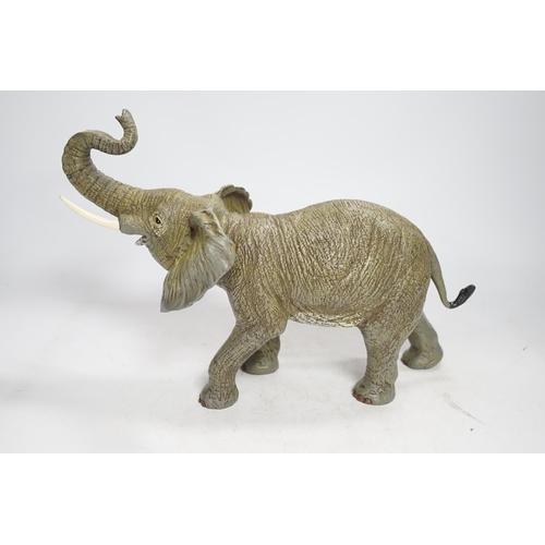 1307 - A Franz Bergman style cold painted bronze elephant, 33.5cm wide. Condition - good