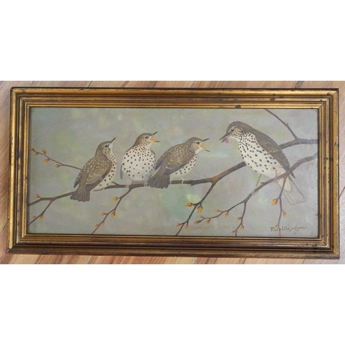 1669 - Ralston Gudgeon (Scottish, 1910-1984), watercolour, Study of four Thrushes on a branch, signed, 22 x... 