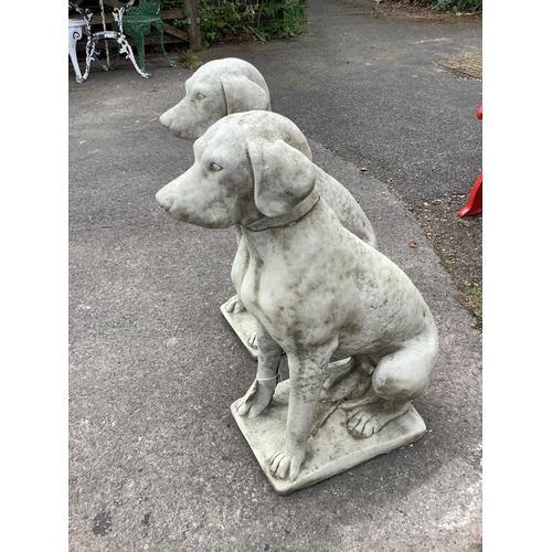 150 - A pair of reconstituted stone seated hound garden ornaments, height 70cm. Condition - good