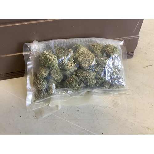 1055 - A large cast plaster Madonna and Child statue with a bag of fake marijuana. Provenance - used in Guy... 