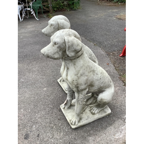 1004 - A pair of reconstituted stone seated hound garden ornaments, height 70cm. Condition - good