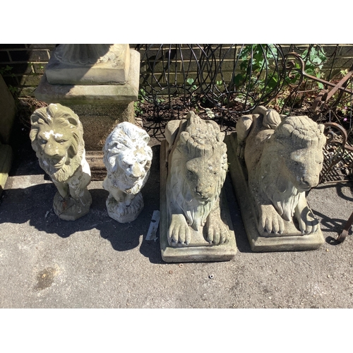 1034 - Two pairs of reconstituted stone recumbent and seated lion garden ornaments, larger width 72cm, heig... 