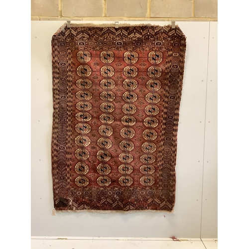 Lot 1029      