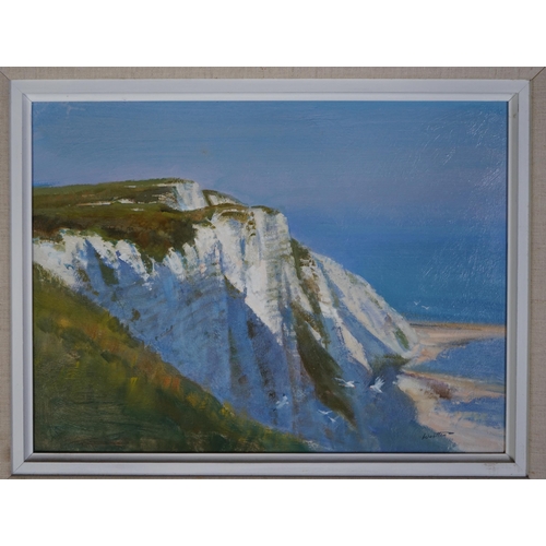 177 - § § Frank Wootton (English, 1914-1998) Beachy Headoil on boardsigned30 x 40cm... 