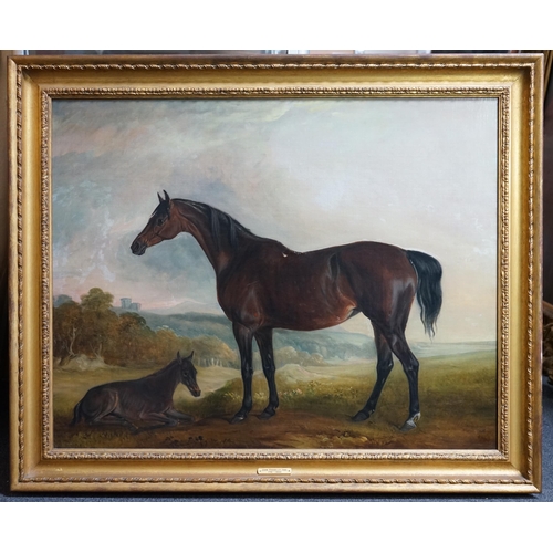 27 - John Ferneley Snr. (British, 1781-1860) Portrait of a bay mare and foal in a landscapeoil on canvass... 