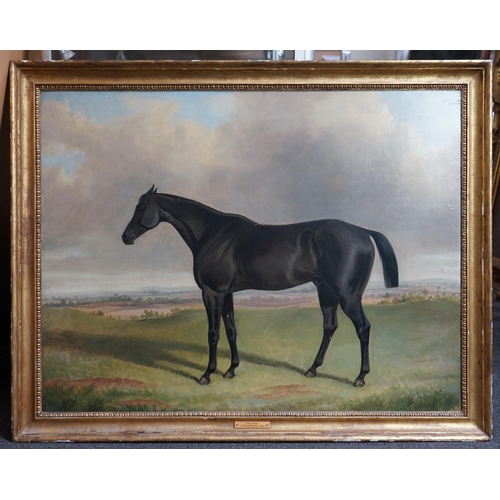 49 - George Henry Laporte (English, 1799-1873) 'The Sweep', portrait of a black horse in a landscapeoil o... 