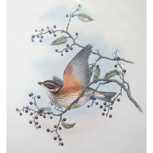 62 - Walter & Cohn after Wolf and Richter (John Gould) 24 hand coloured lithographs from Gould's Birds of... 