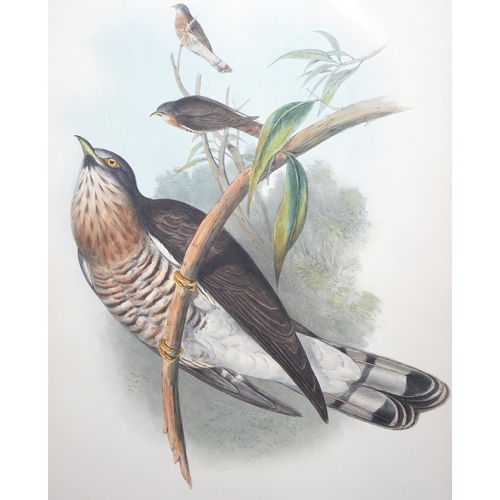 62 - Walter & Cohn after Wolf and Richter (John Gould) 24 hand coloured lithographs from Gould's Birds of... 