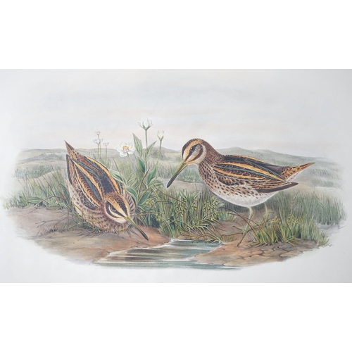 62 - Walter & Cohn after Wolf and Richter (John Gould) 24 hand coloured lithographs from Gould's Birds of... 