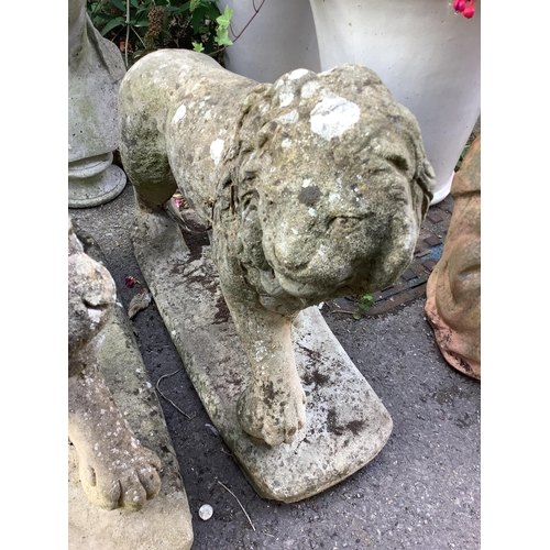 125 - A pair of reconstituted stone standing lion garden ornaments, length 66cm, height 56cm. Condition - ... 