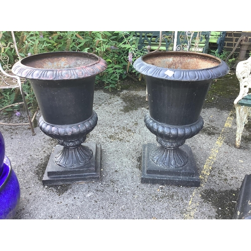 153 - A pair of Victorian style black painted cast iron campana shaped garden urns, on square plinths, dia... 