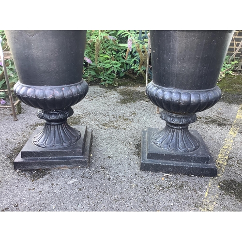 153 - A pair of Victorian style black painted cast iron campana shaped garden urns, on square plinths, dia... 