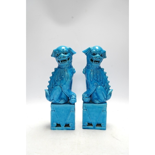 282 - A pair of Chinese turquoise glazed lion dogs, 29cm. Condition - good