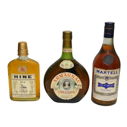 295 - Twelve various bottles of alcohol including a bottle of Trianon 1974 Armagnac, a bottle of Martell t... 