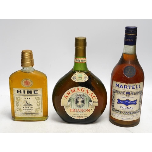 295 - Twelve various bottles of alcohol including a bottle of Trianon 1974 Armagnac, a bottle of Martell t... 