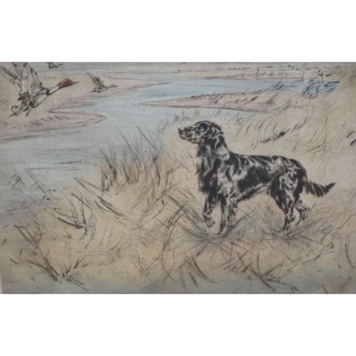 699 - Henry Wilkinson (1921-2011), colour etching, gun dog in a landscape, signed in pencil, limited editi... 