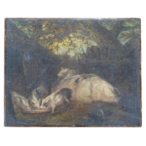 797 - 19th century, English school, oil on canvas, study of pigs, 35 x 44cm. Condition - fair to good... 