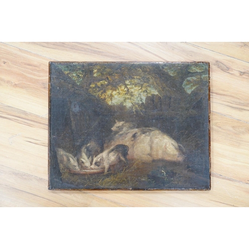 797 - 19th century, English school, oil on canvas, study of pigs, 35 x 44cm. Condition - fair to good... 