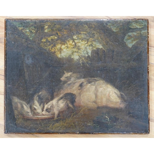 797 - 19th century, English school, oil on canvas, study of pigs, 35 x 44cm. Condition - fair to good... 