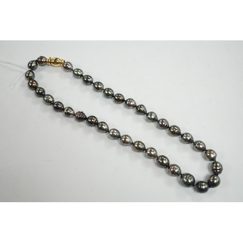 900 - A modern single strand Tahitian cultured baroque pearl necklace with 750 clasp, 44cm. Condition - fa... 