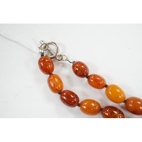 922 - A single strand graduated oval amber bead necklace, 76cm, gross weight 107 grams. Condition - poor... 