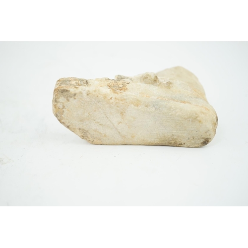 27 - A Roman carved marble model of a sandalled foot, 10cm long, 5.75cm high