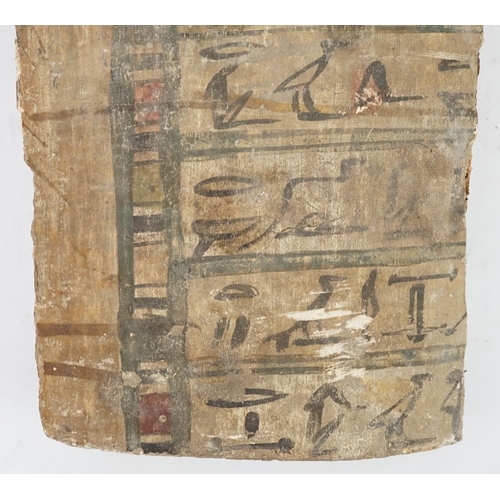 38 - An Ancient Egyptian painted gesso, linen and wood fragment from a coffin or canopic chest, probably ... 