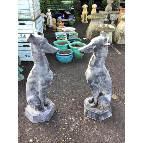 32 - A pair of black painted cast iron models of seated hounds, height 91cm. Condition - weathered