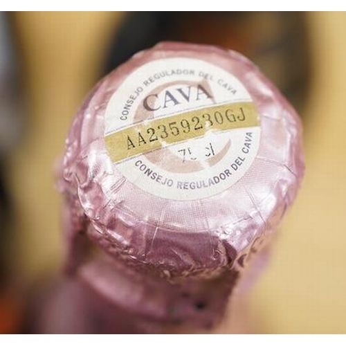 252 - Twelve bottles of wine including; three bottles of Chateau Charmail 2001, a bottle of Chateauneuf-du... 