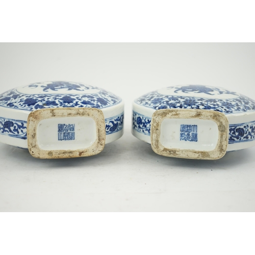 151 - A near pair of Chinese blue and white moonflasks, bianhu, Daoguang seal marks and of the period (182... 