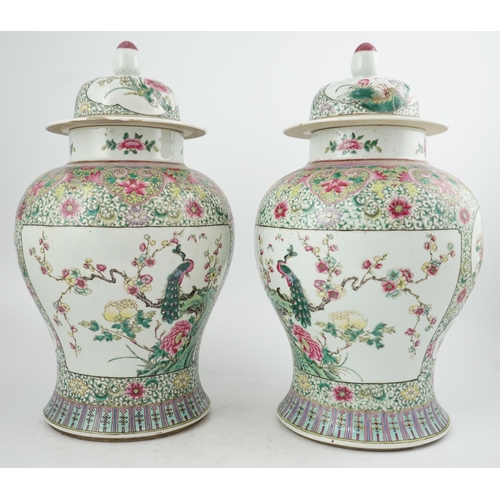 162 - A pair of large Chinese famille rose baluster jars and covers, Qianlong seal mark, but late 19th cen... 