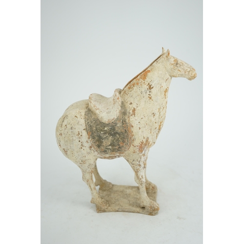 79 - A Chinese painted pottery saddled horse, Tang Dynasty (AD 618-906), in red pottery that has been &qu... 