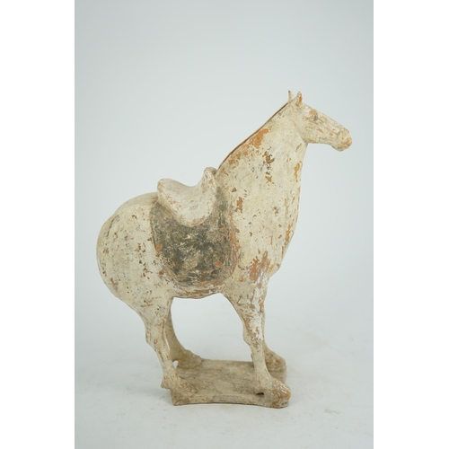 79 - A Chinese painted pottery saddled horse, Tang Dynasty (AD 618-906), in red pottery that has been &qu... 