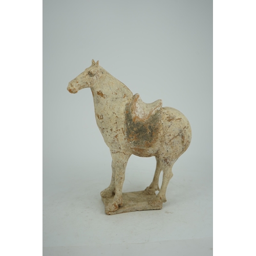 79 - A Chinese painted pottery saddled horse, Tang Dynasty (AD 618-906), in red pottery that has been &qu... 