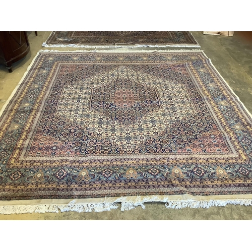 27 - A pair of North West Persian ivory ground carpets, each 294 x 299cm. Condition - fair