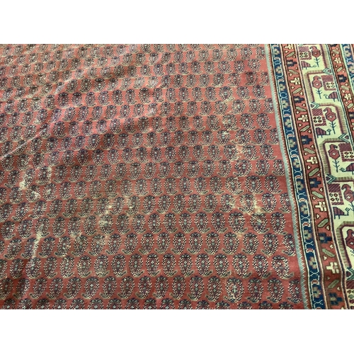 1097 - A Salouk red ground carpet, 350 x 265cm. Condition - poor to fair