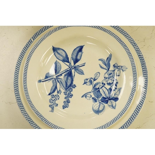 1295 - Ten 19th century Wedgwood blue and white botanical decorated dishes, largest 25cm in diameter. C... 