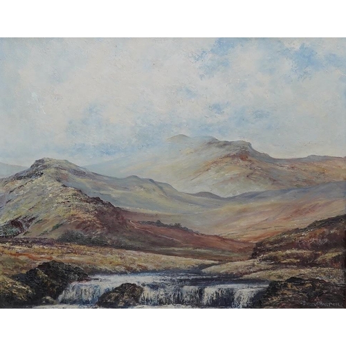 1708 - Dennis Harper (b. 1940), oil on canvas, Mountainous scene with waterfall, signed, 39 x 49cm, gilt fr... 